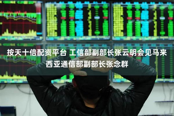 按天十倍配资平台 工信部副部长张云明会见马来西亚通信部副部长张念群
