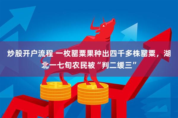 炒股开户流程 一枚罂粟果种出四千多株罂粟，湖北一七旬农民被“判二缓三”